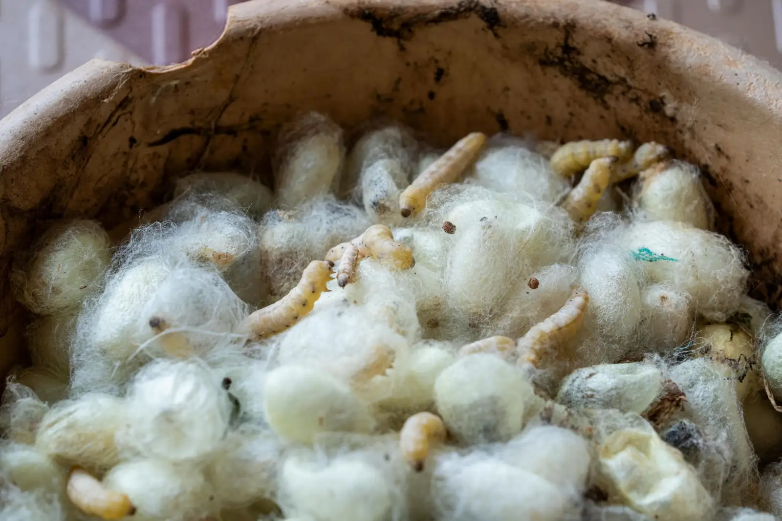 商务名片与宣传单页印刷的纸张材质选择对比分析
